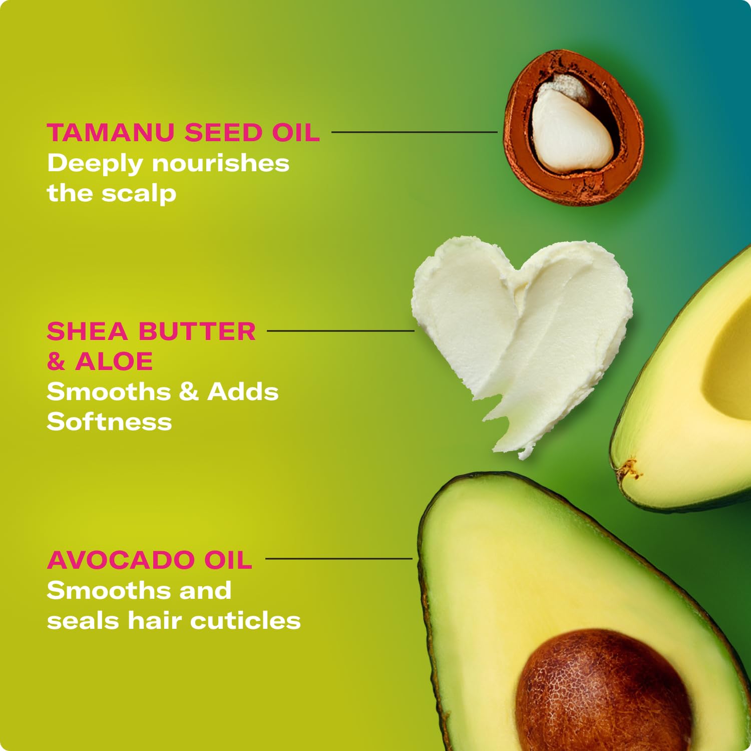 Mielle Organics Avocado & Tamanu Anti-Frizz Curl Cream for Textured Hair - Smoothing & Defining Cream to Lock In Moisture & Enhance Shine - Curly Hair Styling Products for Women & Men, 12oz - Image 4