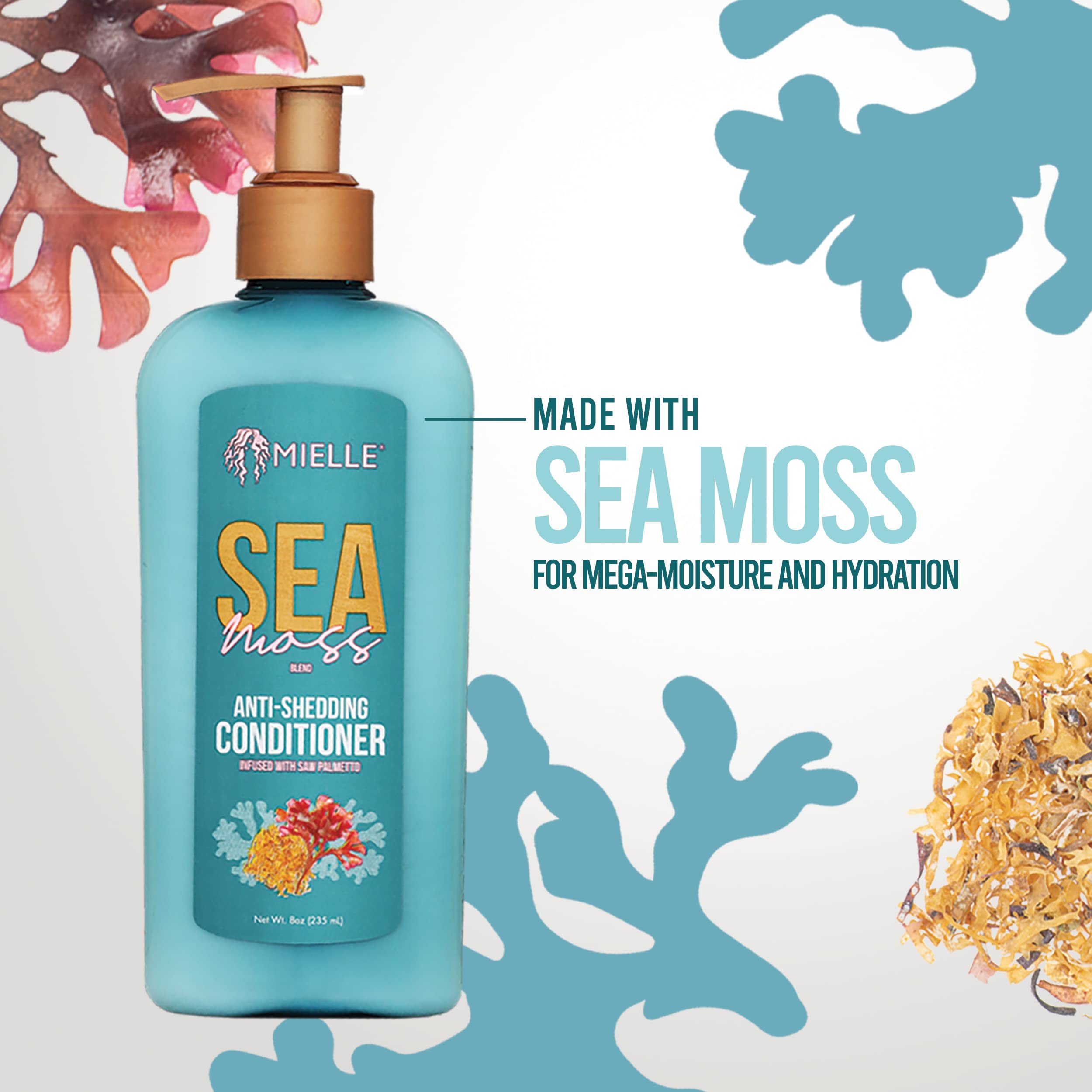 Mielle Organics Sea Moss Anti-Shedding Hair Conditioner - Hydrating Conditioner for Dry Hair - Fortifies Strands for Reduced Shedding - Improves Look and Feel with One Use (8 Oz) - Image 4